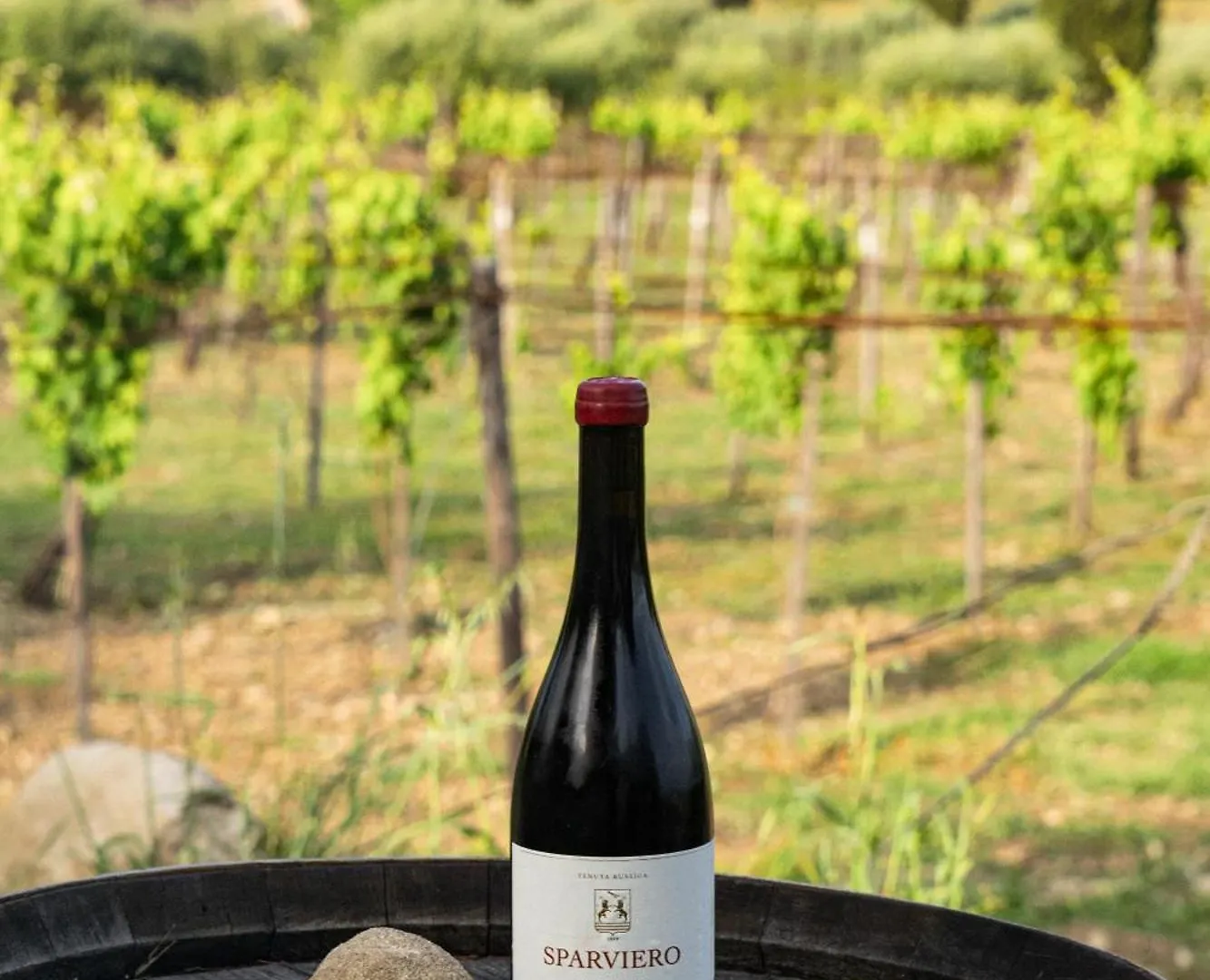 Tenuta Rustica 1519 Roccella Valdemone