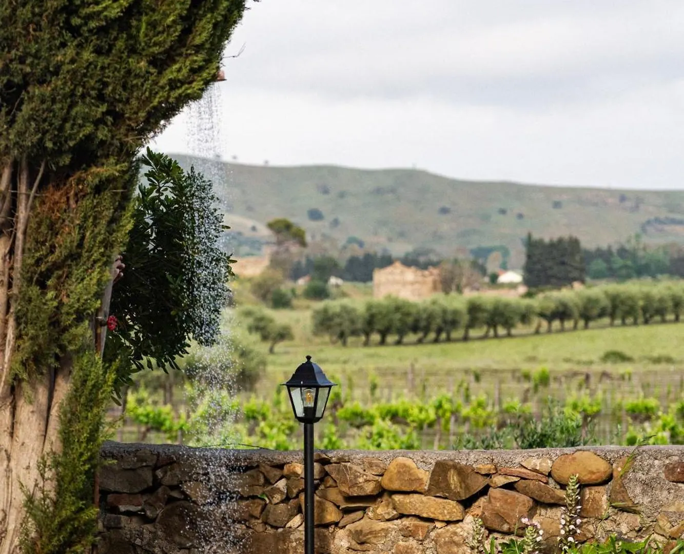 Tenuta Rustica 1519 Roccella Valdemone Guest house